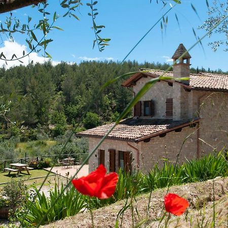 Agriturismo Molino Verde Montecchio  Exterior photo