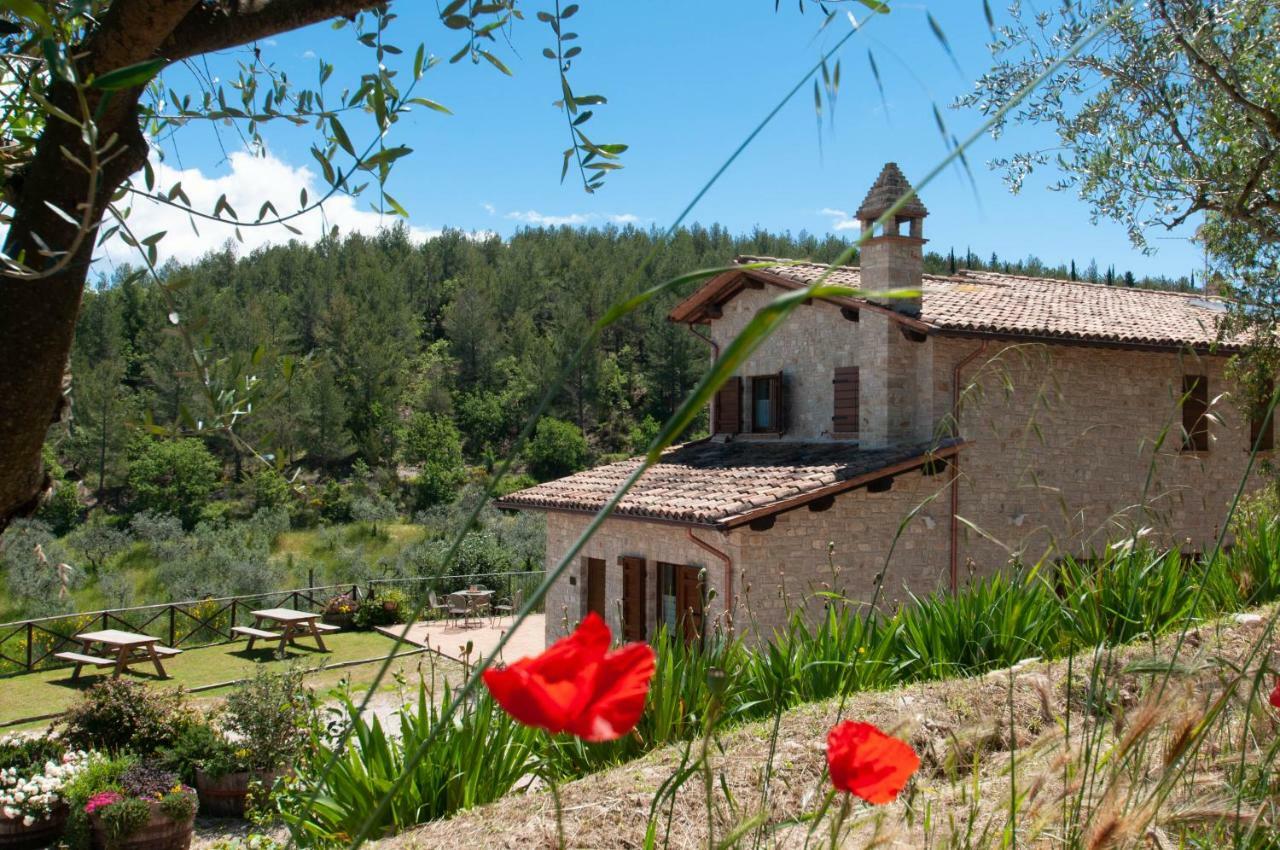Agriturismo Molino Verde Montecchio  Exterior photo